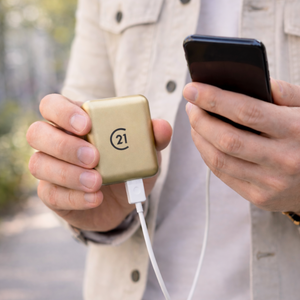 Champagne Gold Fast Charge Powerbank