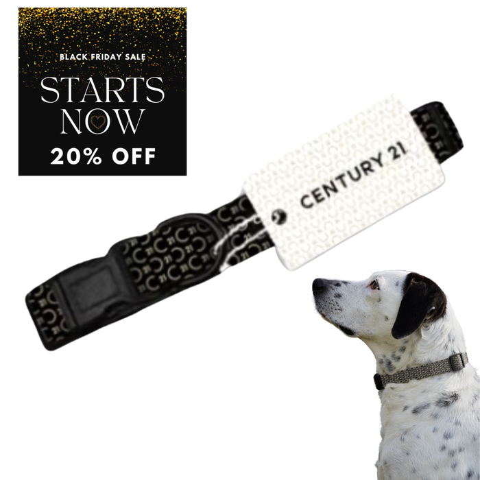 C21 Pattern Pet Collar